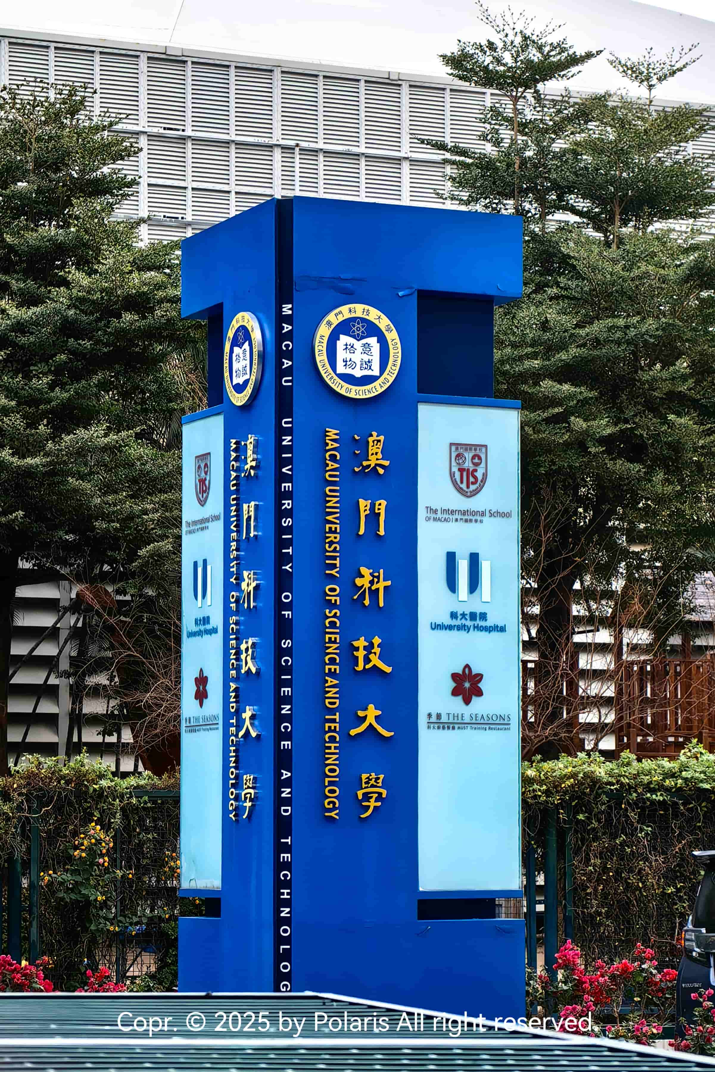 倒影效果